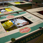 Photo: A food box from Edmonton Food Bank. 