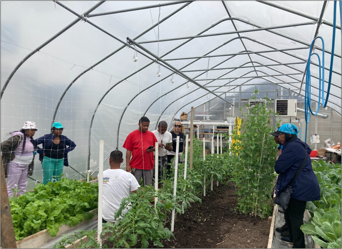 Figure 1 from the article: Urban Fruits & Veggies (UFV) farmer-educator (squatting) answering questions from Seeding East Buffalo Fellowship participants inside the UFV greenhouse
