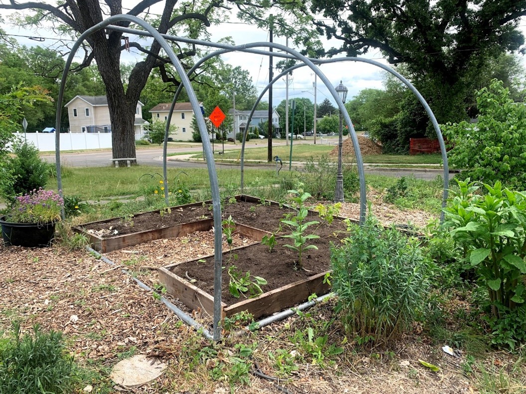 Native Michigan wildflowers plot at Rose Street Community Garden in Kalamazoo, Michigan. It’s one of the many community gardens featured in the study. Photo by E. Silber.