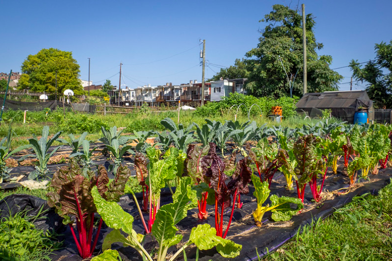 A bag of emergency food. Photo by the USDA.