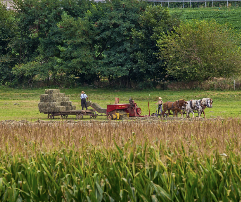 A bag of emergency food. Photo by the USDA.
