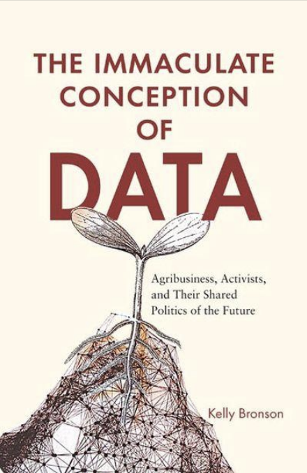 Cover of ''The Immaculate Conception of Data''