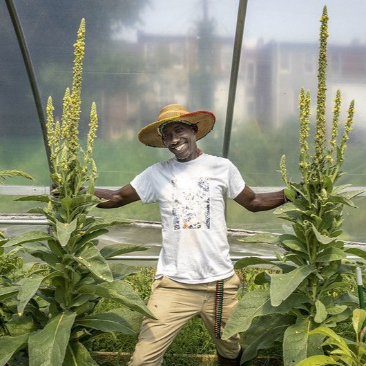 PPHUF was created by Farmer Chippy (pictured between Mullein plants) and a group of Caribbean/American citizens’ desire to effect change and have a positive impact on the lives of young adults that reside in the Park Heights community as well as focus on food production and distribution to create the first “Agrihood” within the city of Baltimore, Md.