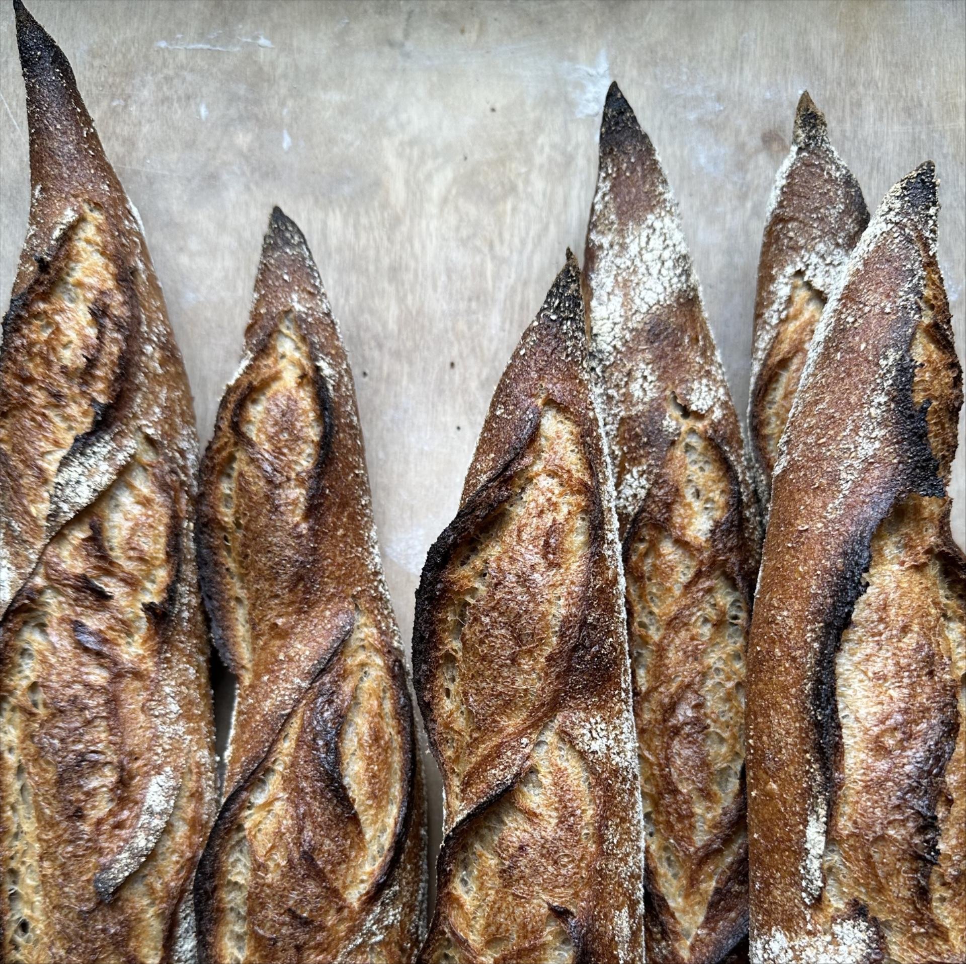 Photo of six baguettes produced with local flour; photo provided by author