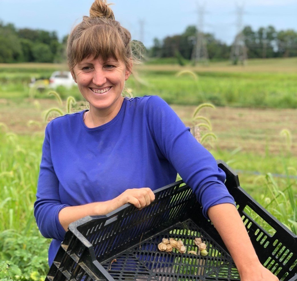 Photo of Liz Whitehurst, owner/operator of Owl’s Nest Farm, harvests ground cherries.