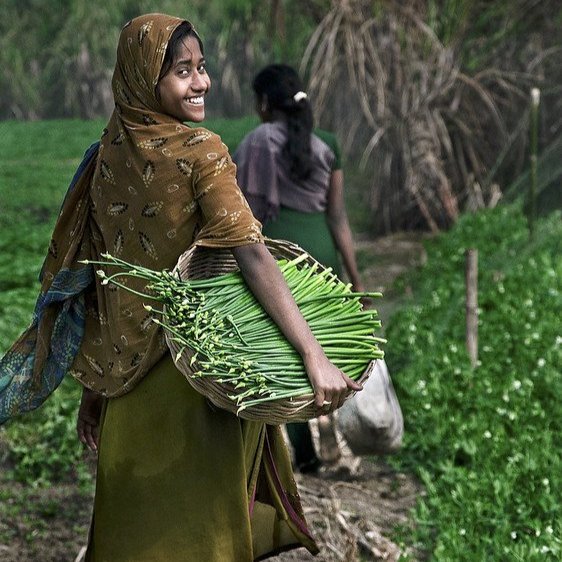 Photo: A young woman carries fresh produce to a local market