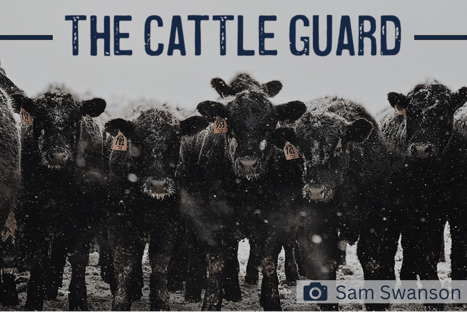The Cattle Guard