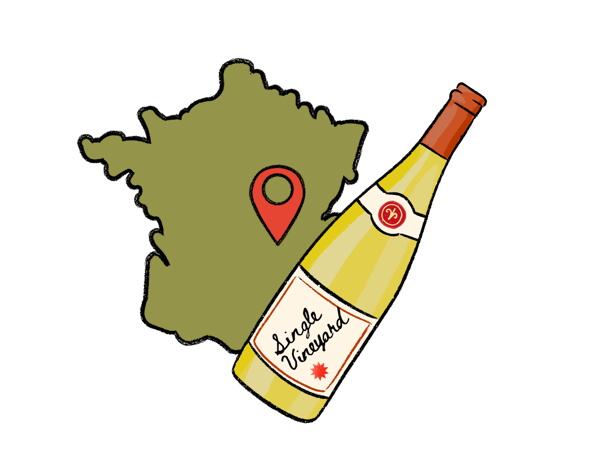 Wine 101