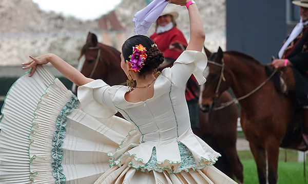 Journeys to South America