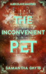 Alternate text