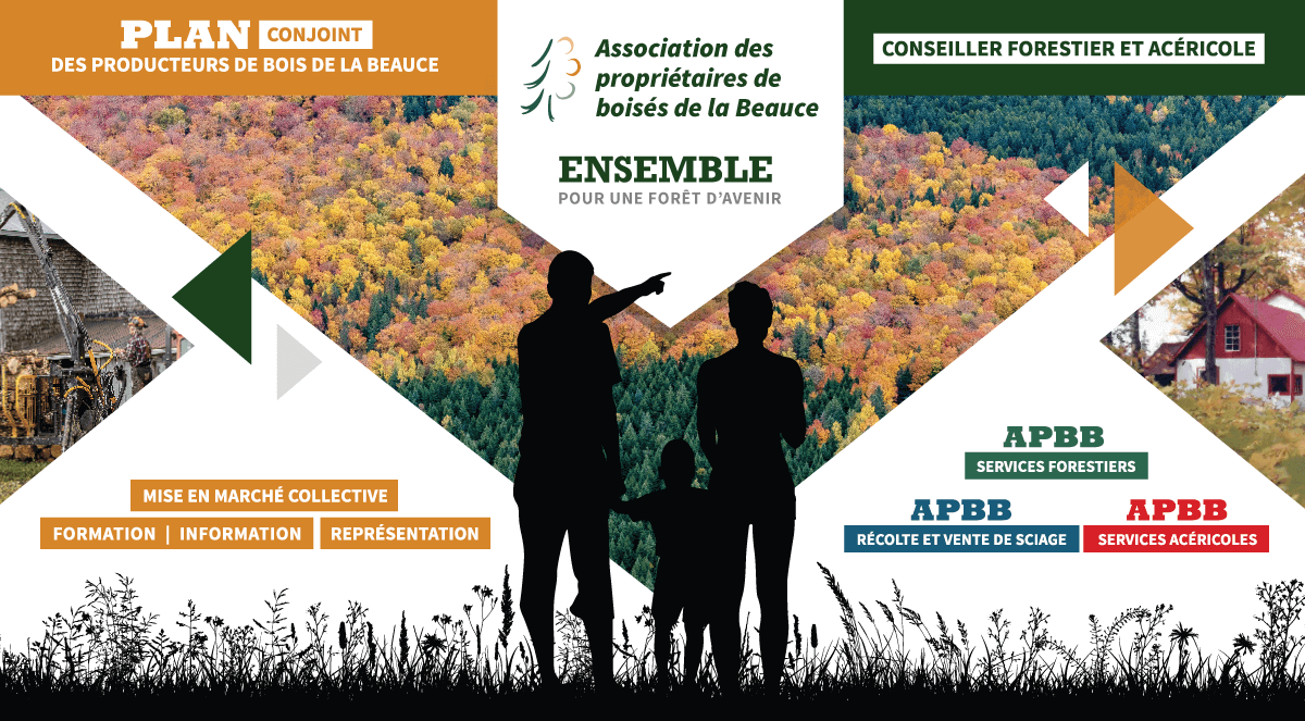 L'INFOLETTRE DE L'APBB