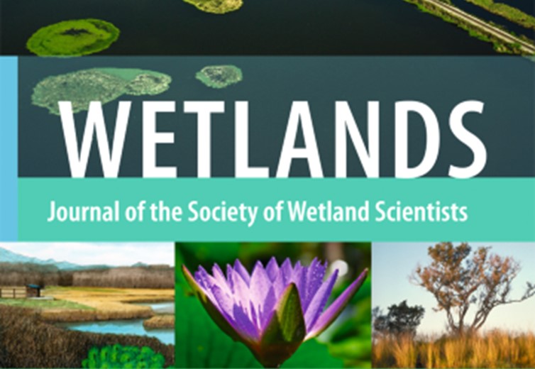 Revue Wetlands