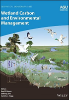 Wetland Carbon and Environmental Management