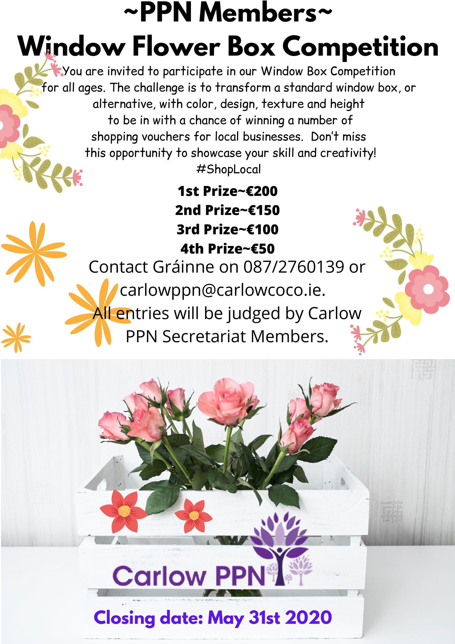 Flower Box In Programming Alternate text