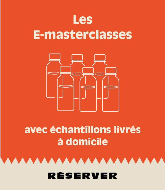 E-masterclasses