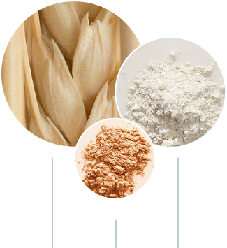 Ingredient Close-Ups