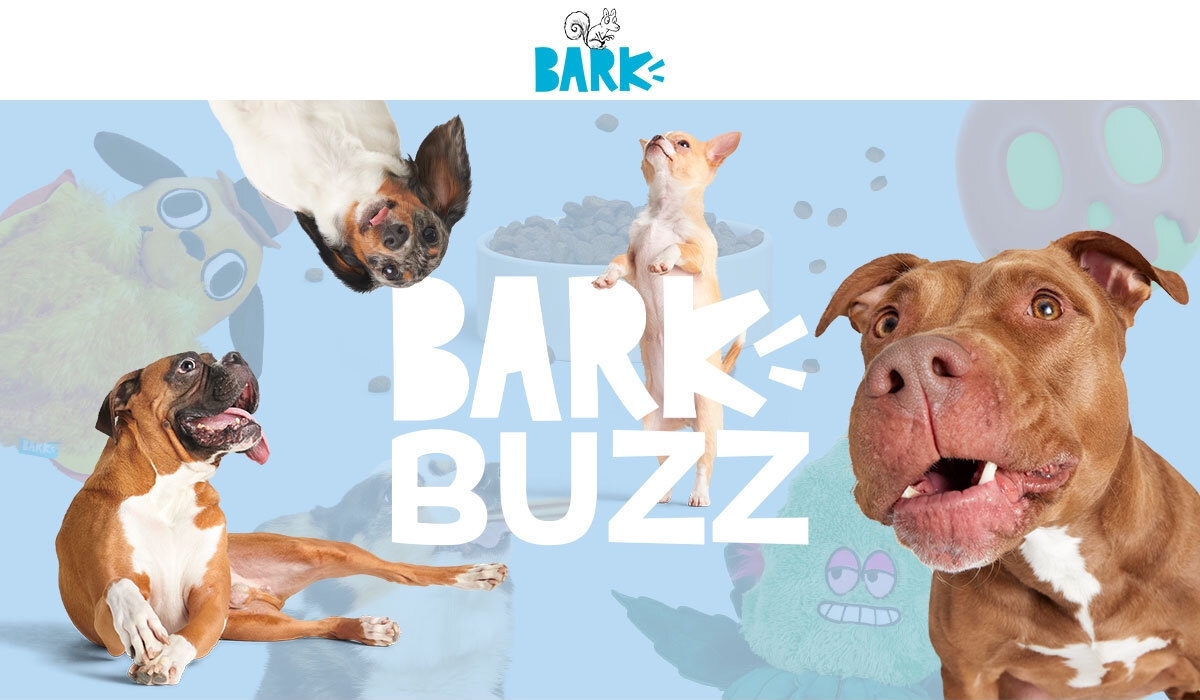 BARK Buzz is here!