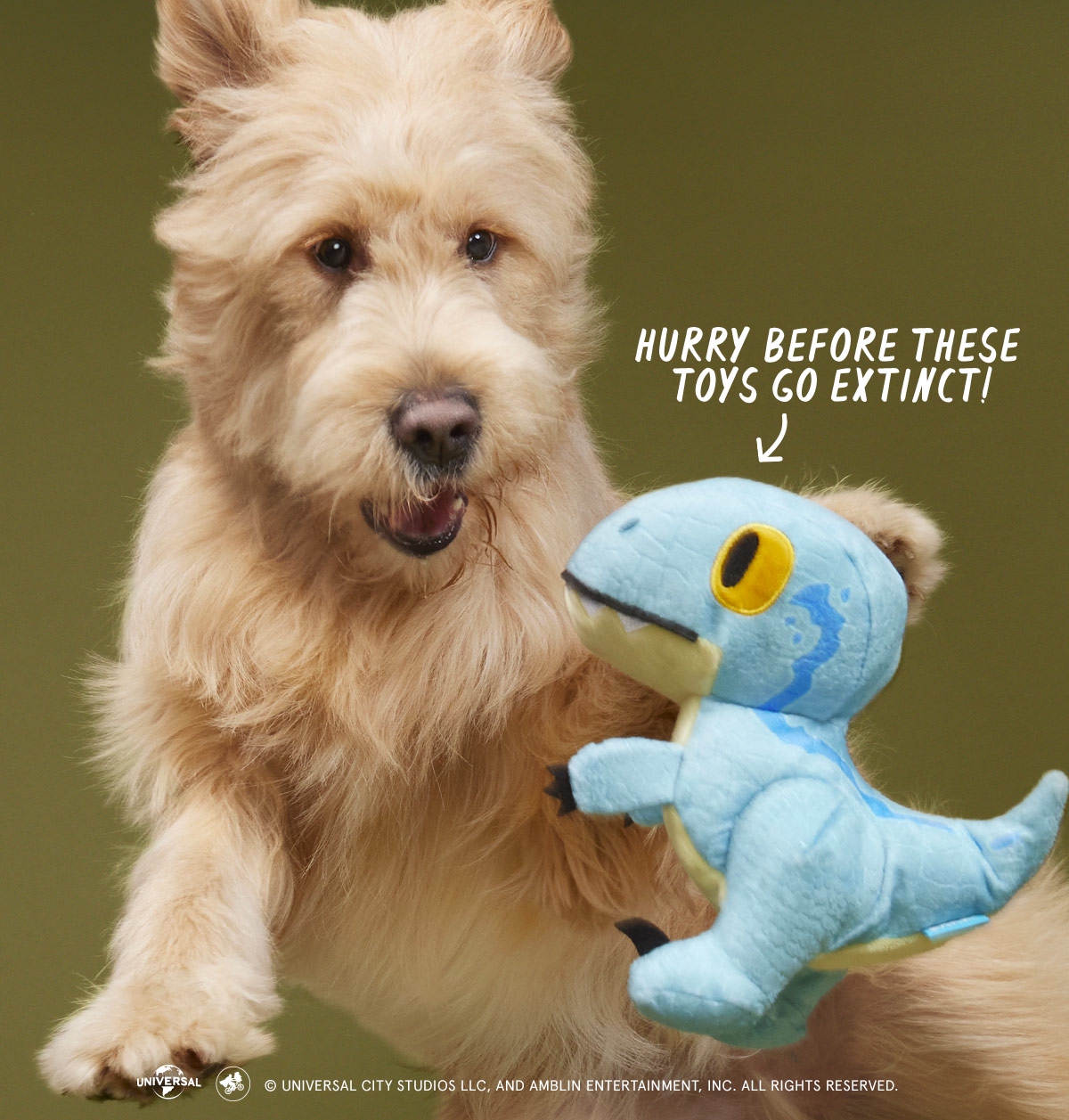 Join BarkBox!