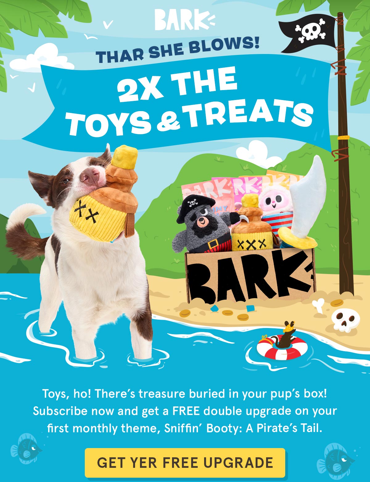 2X The Toys & Treats