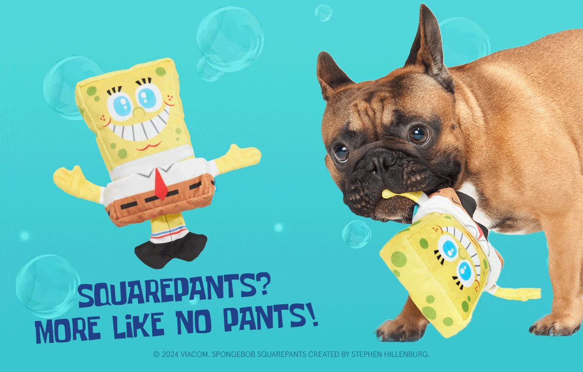 SpongeBob SquarePants