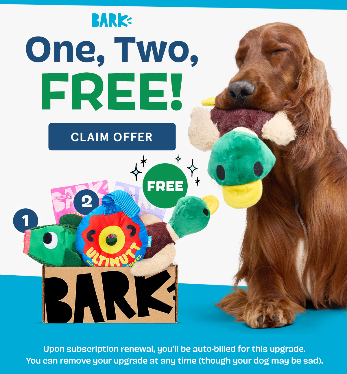 Join BarkBox