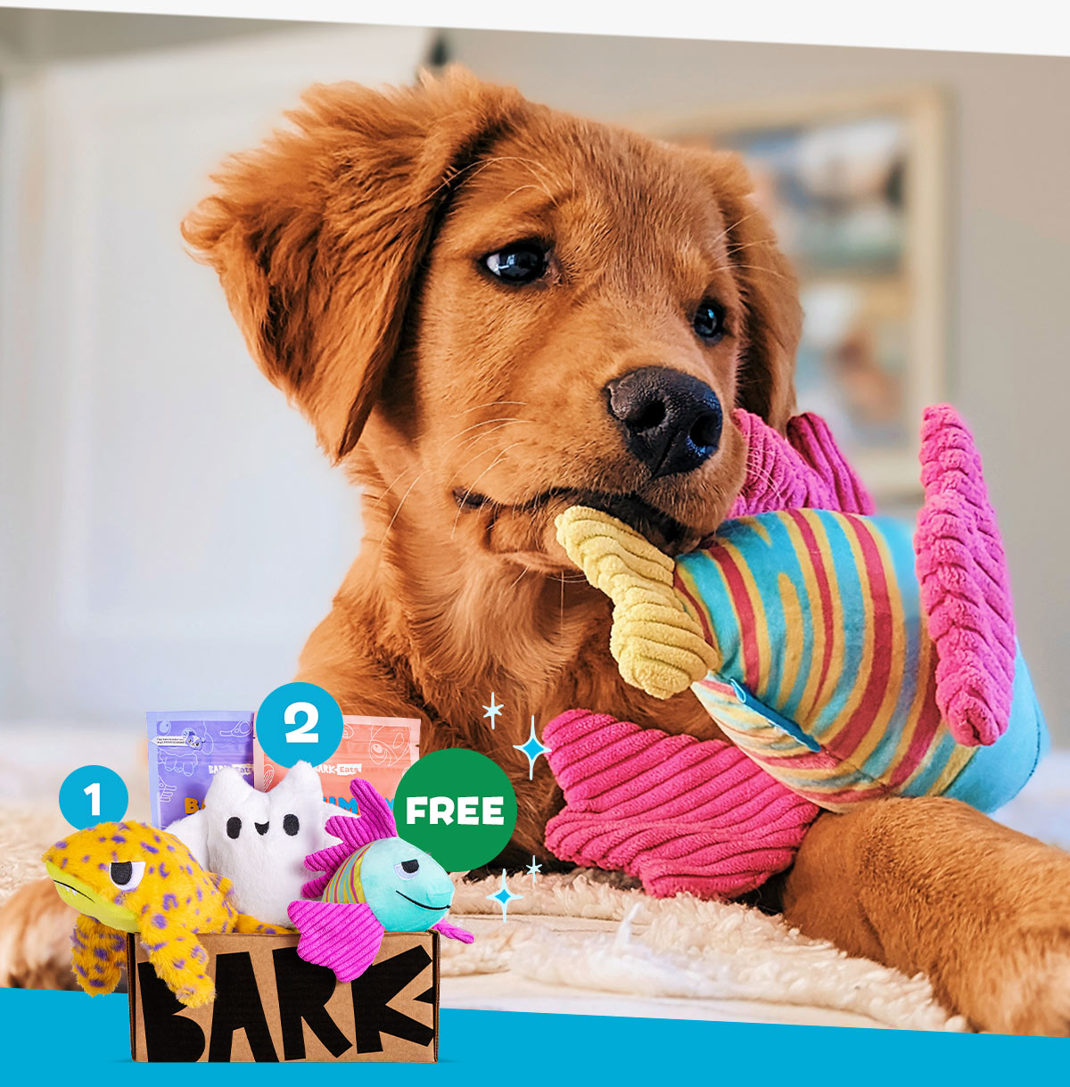 Join BarkBox