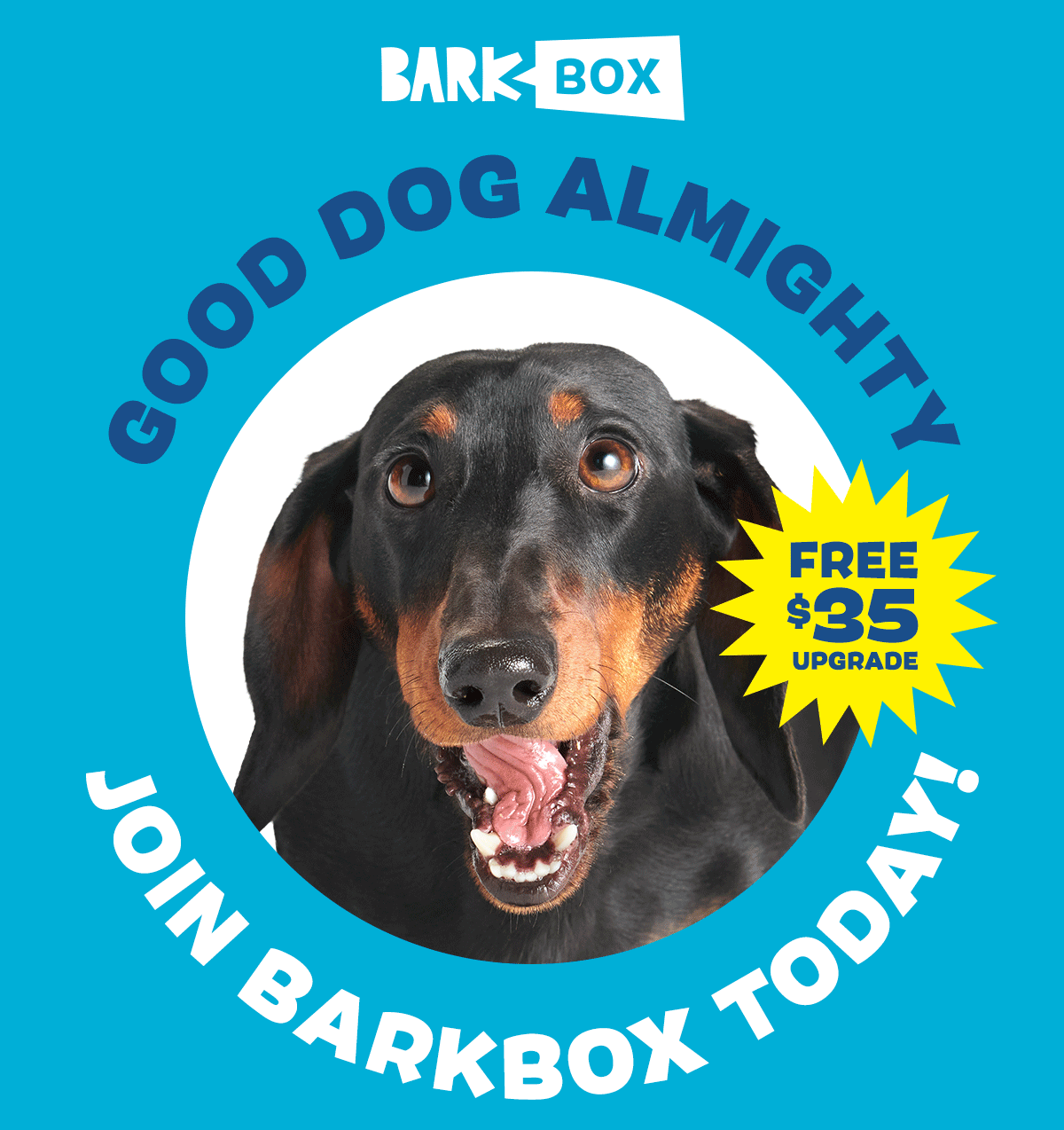 Good dog almighty!