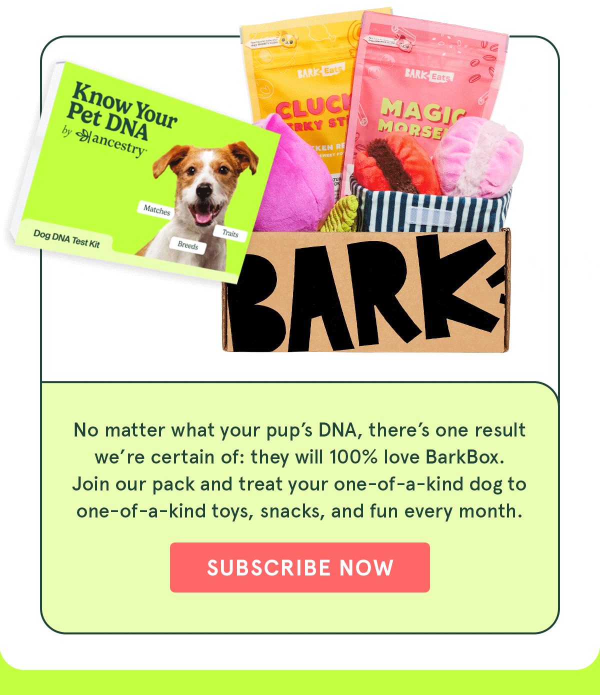 Join BarkBox!