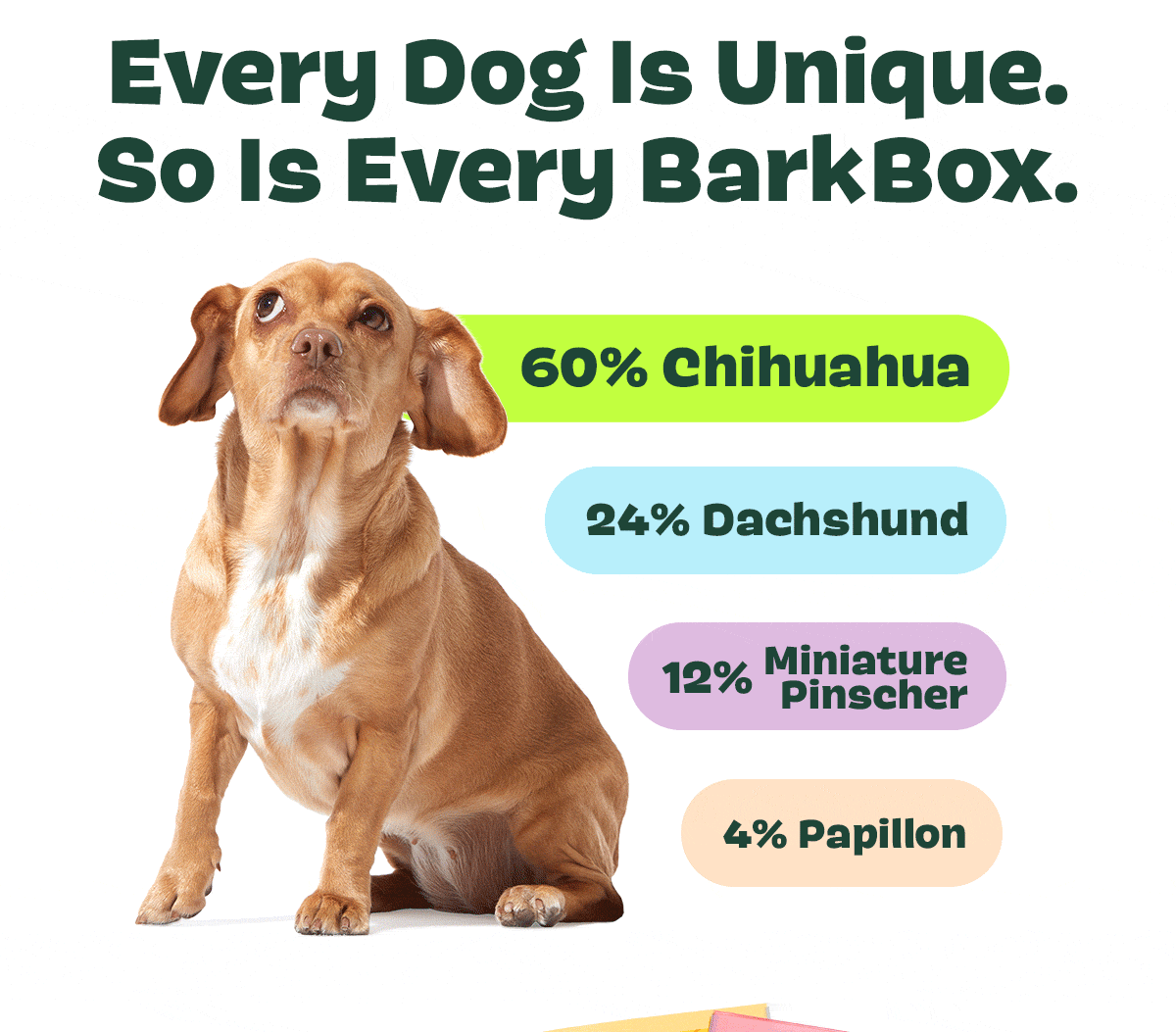 Join BarkBox!