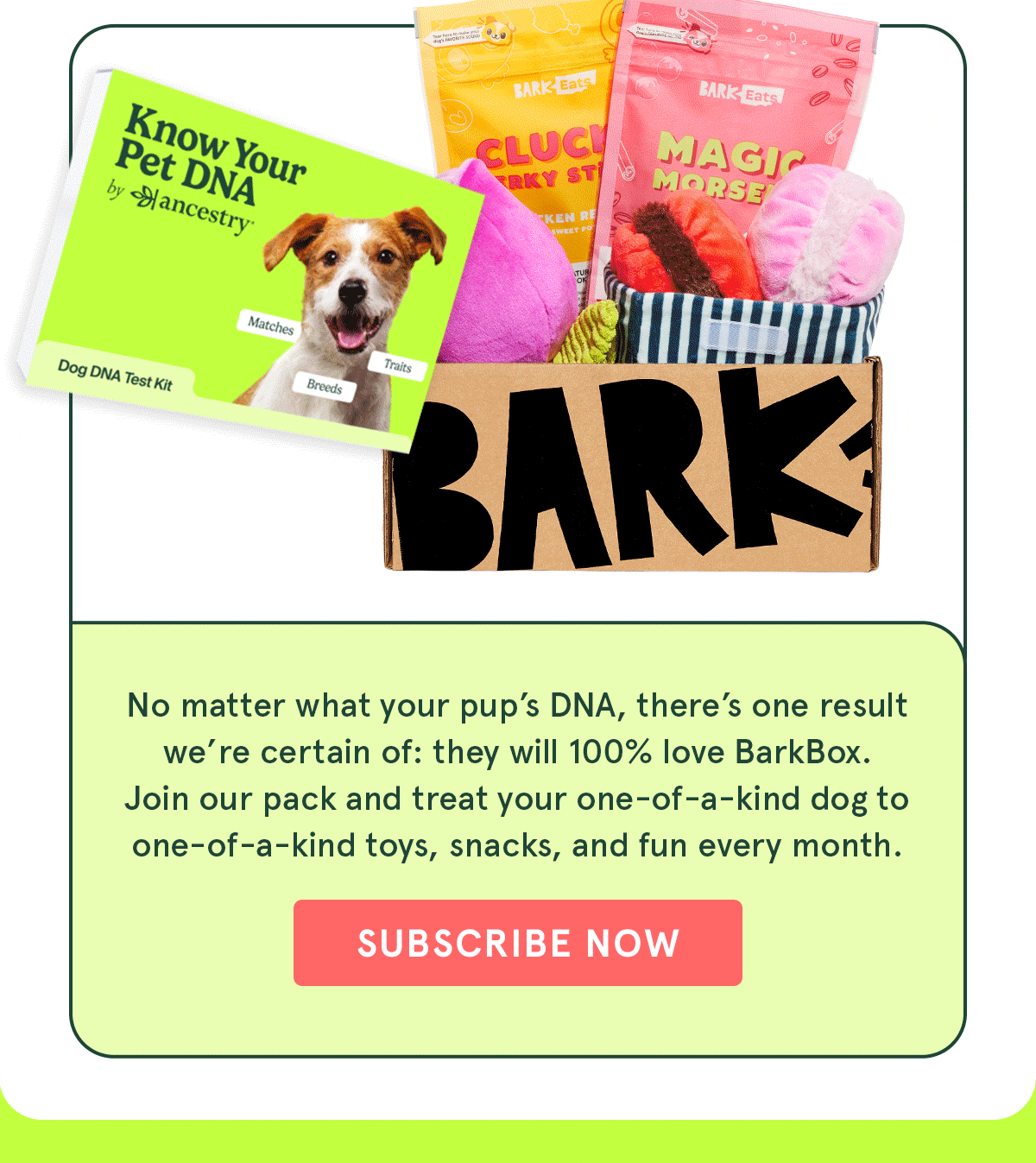 Join BarkBox!