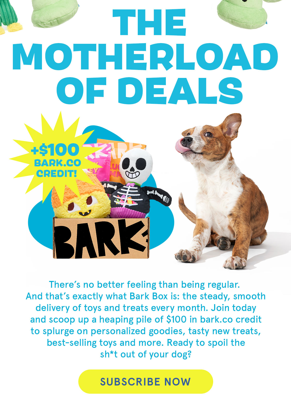$100 BarkShop Credit