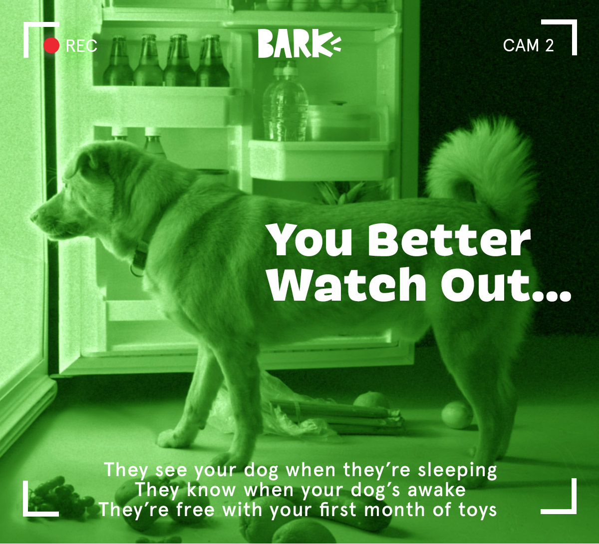 Join BarkBox!