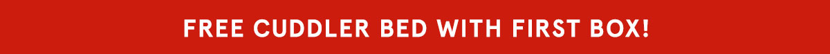 Free Pillow Dog Bed