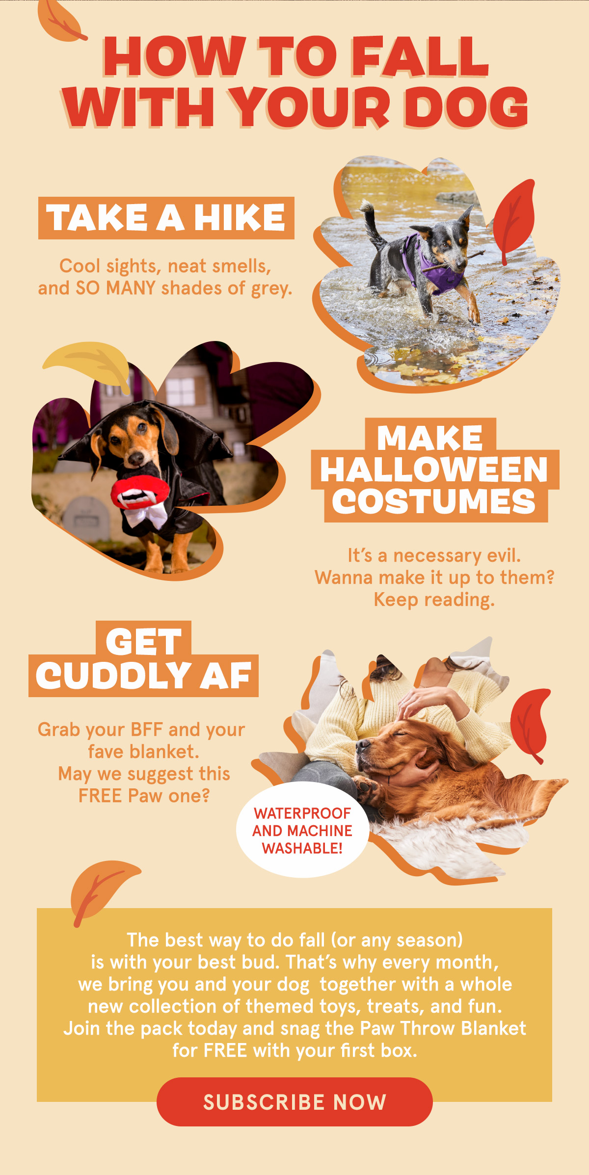 Join BarkBox!