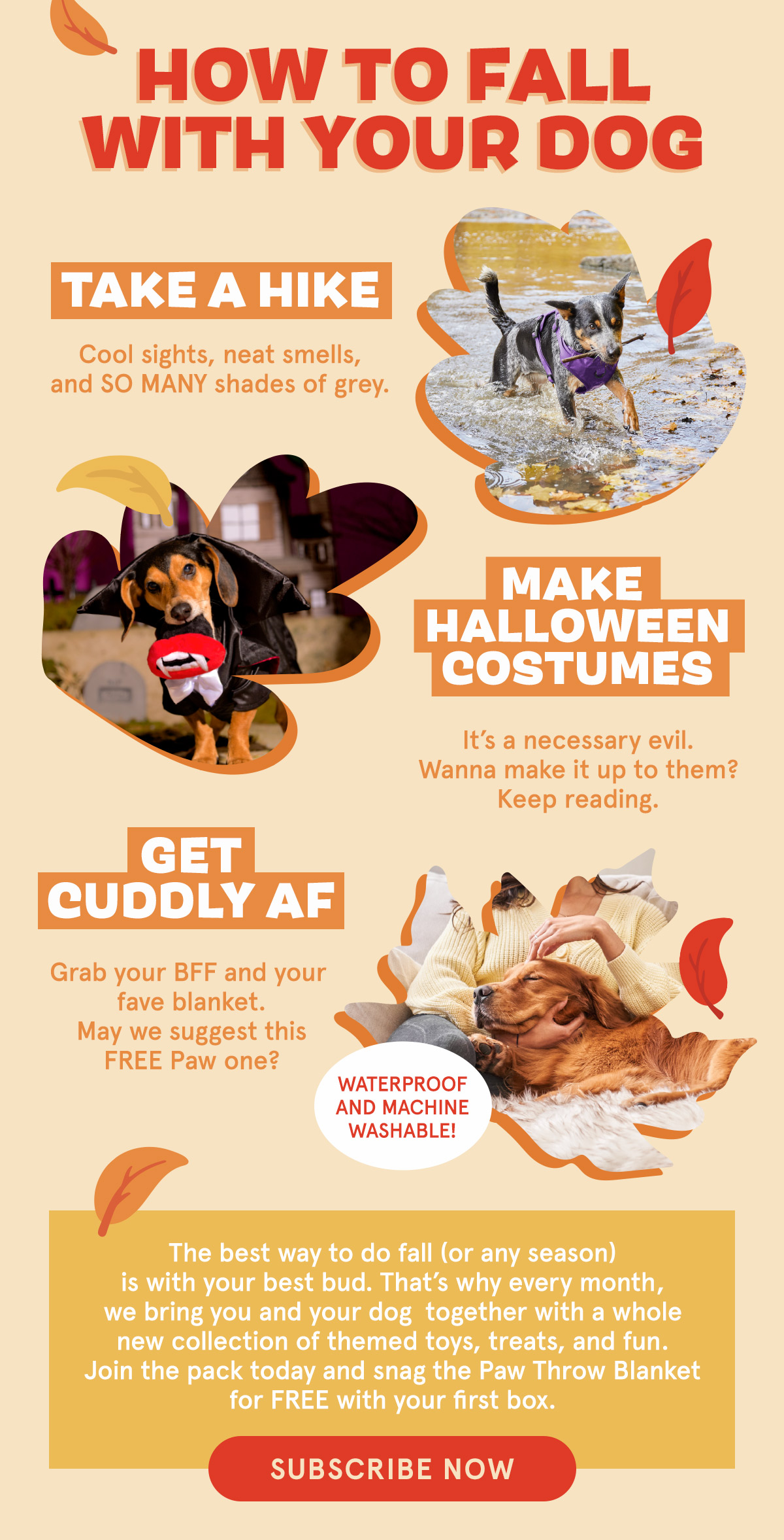 Join BarkBox!