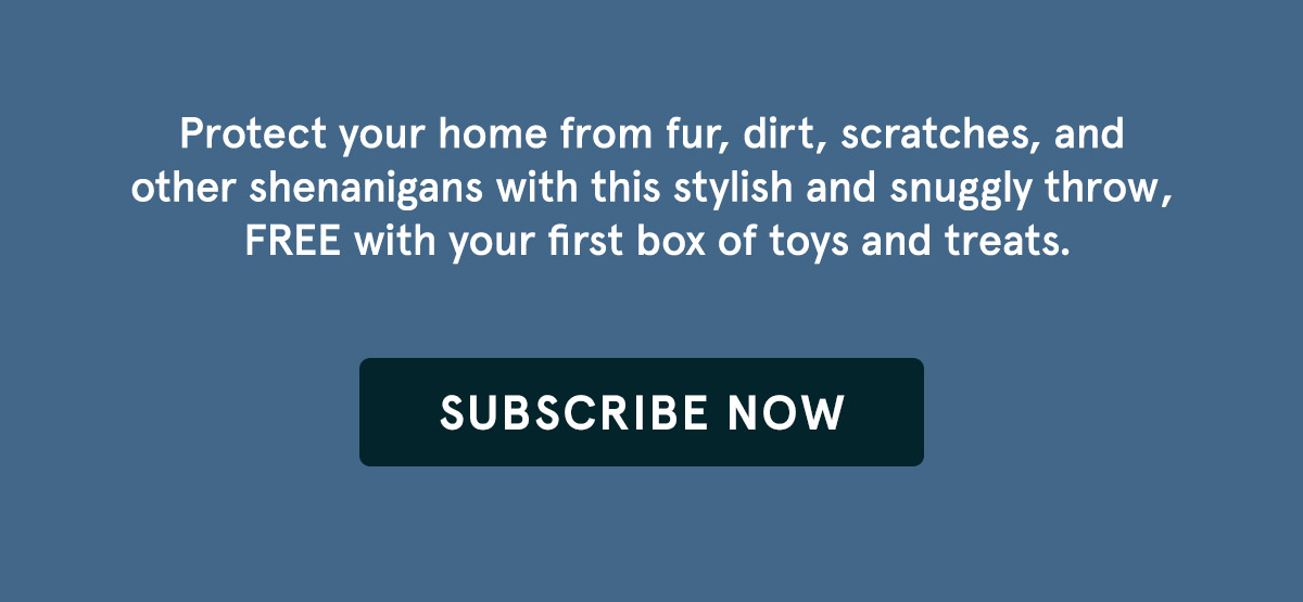 Dog Bed