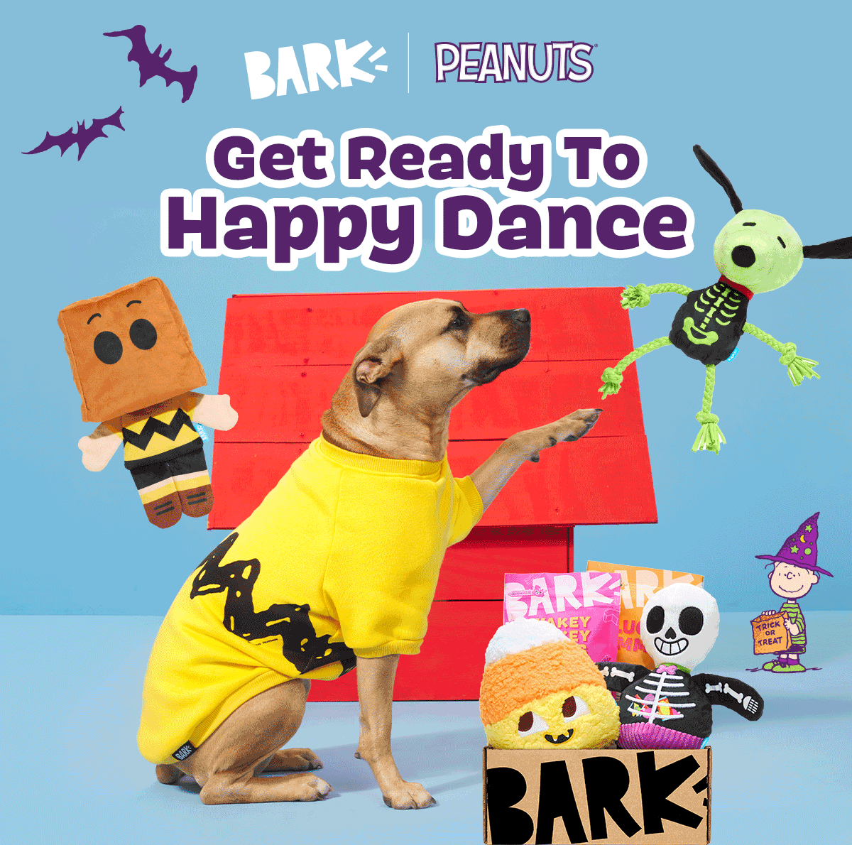 Get ready to happy dance