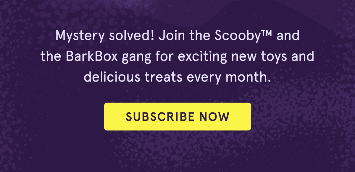 Subscribe