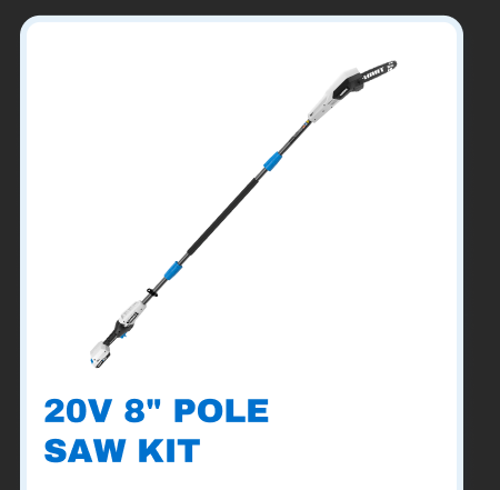 20V 8'' Pole Saw Kit