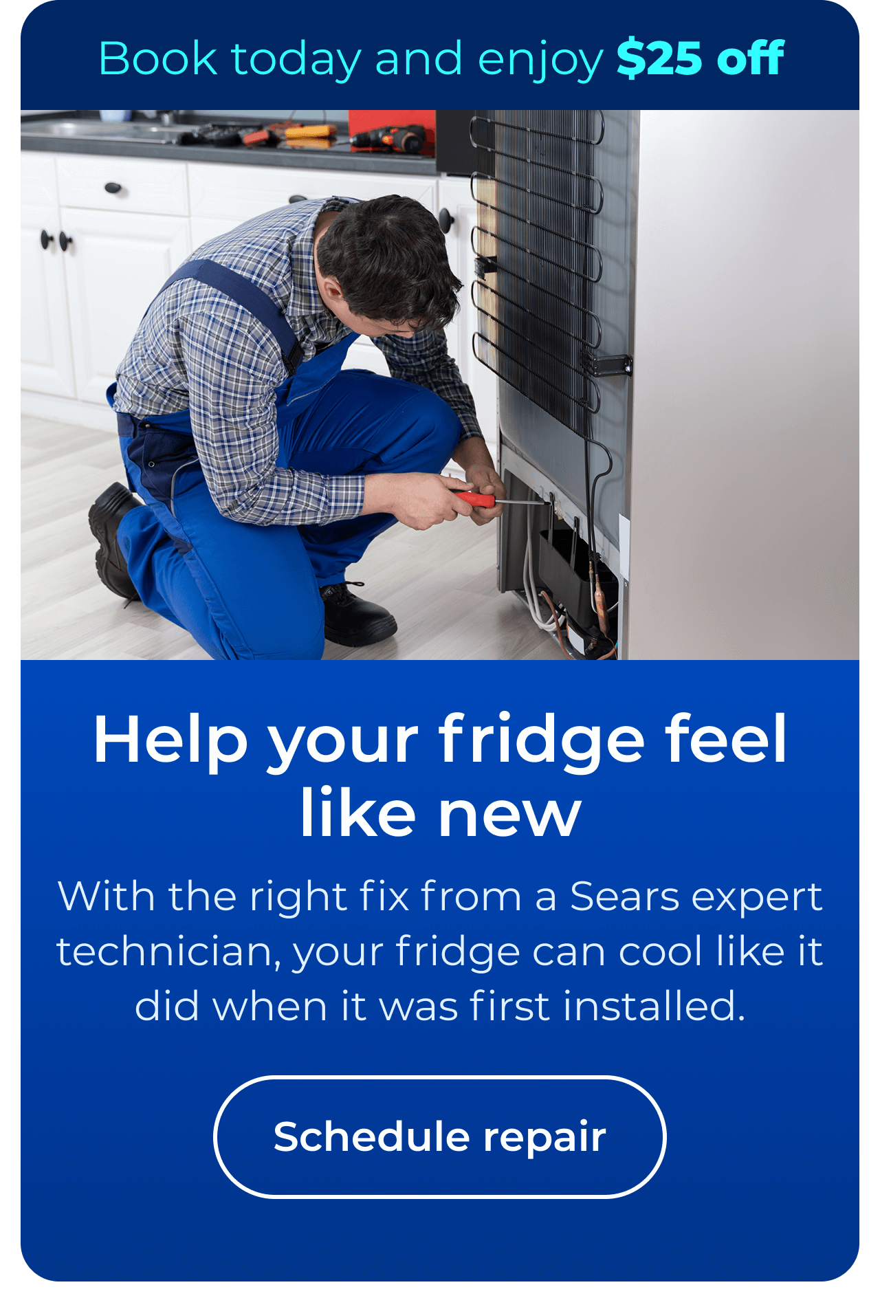 Help your fridge feel like new. With the right fix from a Sears expert technician, your fridge can cool like it did when it was first installed. Book today and enjoy $25 off your next repair. Button: Schedule repair