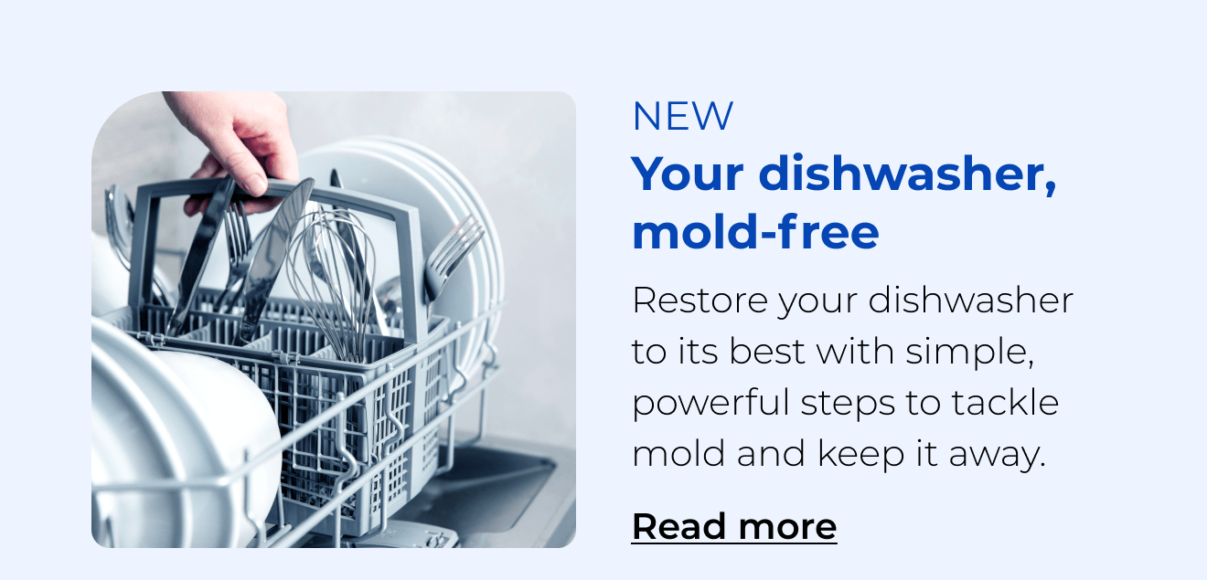 Your dishwasher, mold free. Restore your dishwasher to its best with simple, powerful steps to tackle mold and keep it away. Button: Read more