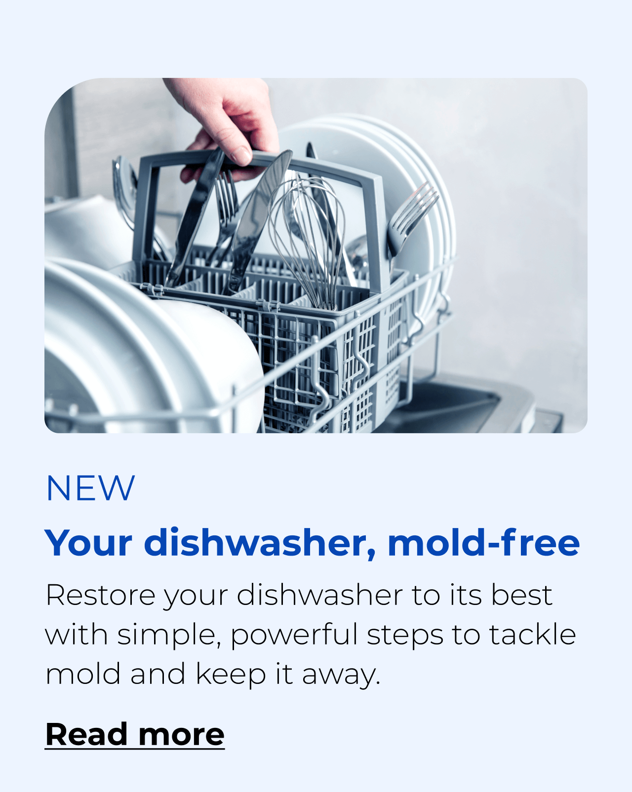 Your dishwasher, mold free. Restore your dishwasher to its best with simple, powerful steps to tackle mold and keep it away. Button: Read more