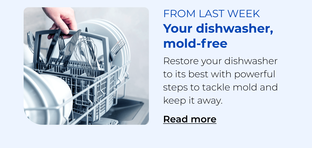 Your dishwasher, mold free. Restore your dishwasher to its best with simple, powerful steps to tackle mold and keep it away. Button: Read more