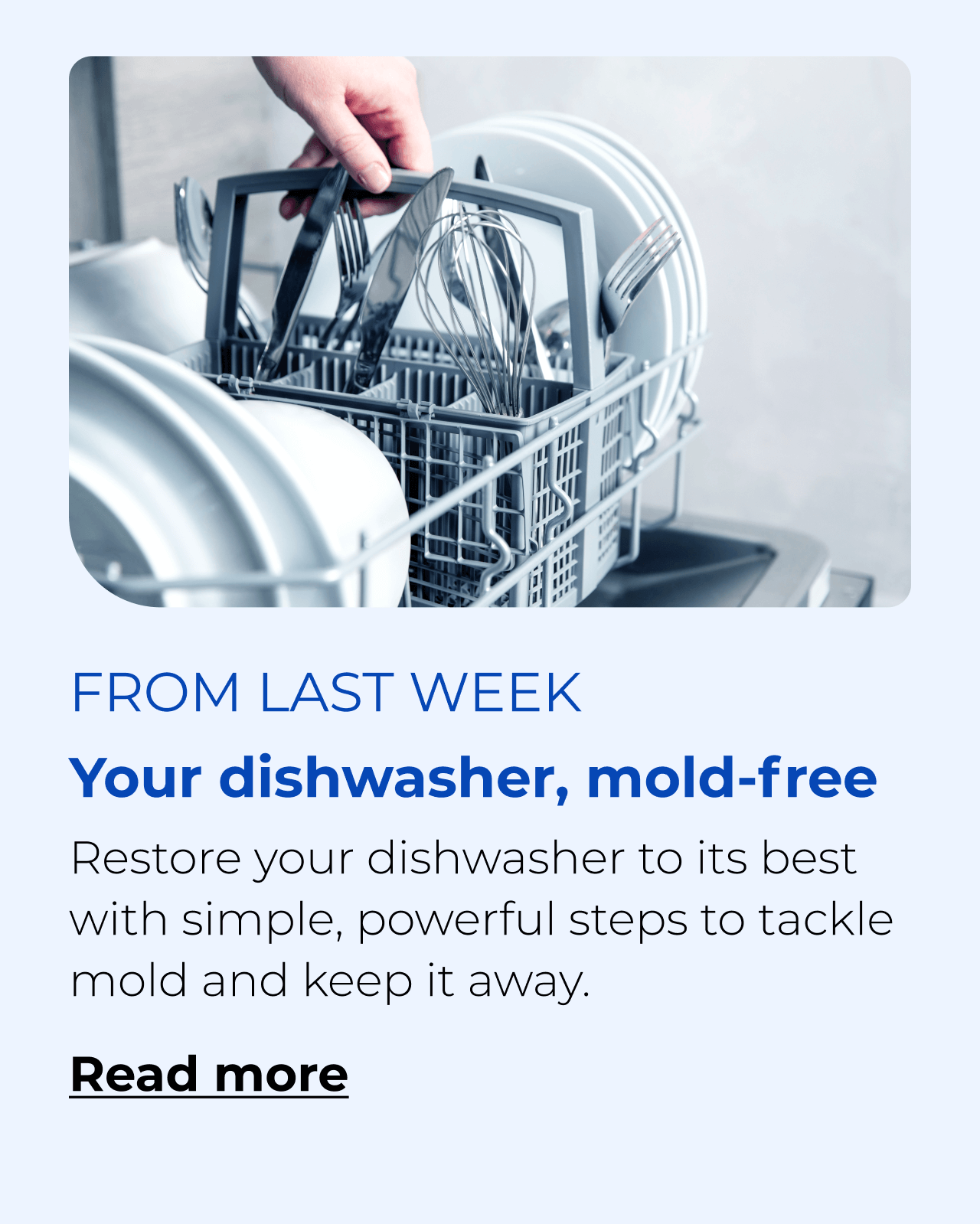 Your dishwasher, mold free. Restore your dishwasher to its best with simple, powerful steps to tackle mold and keep it away. Button: Read more