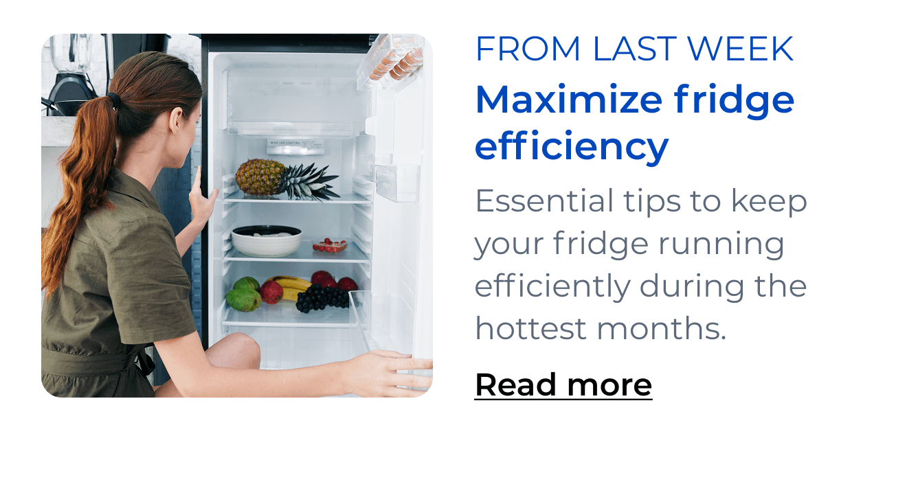 Maximize fridge efficiency. Discover essential tips to keep your refrigerator running efficiently during the hottest months. Button: Read more