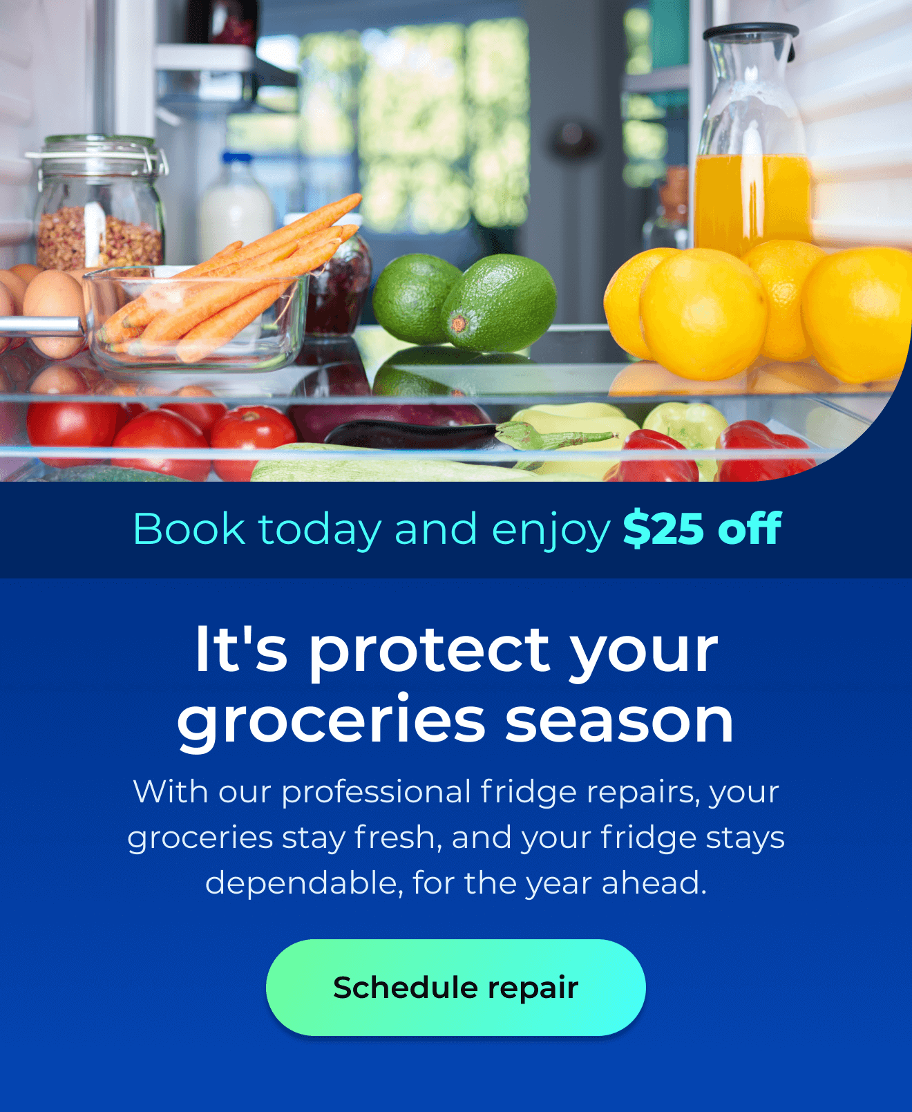 It’s protect your groceries season. With our professional fridge repairs, your groceries stay fresh, and your fridge stays dependable for the year ahead. Book today and enjoy $25 off. Button: schedule repair