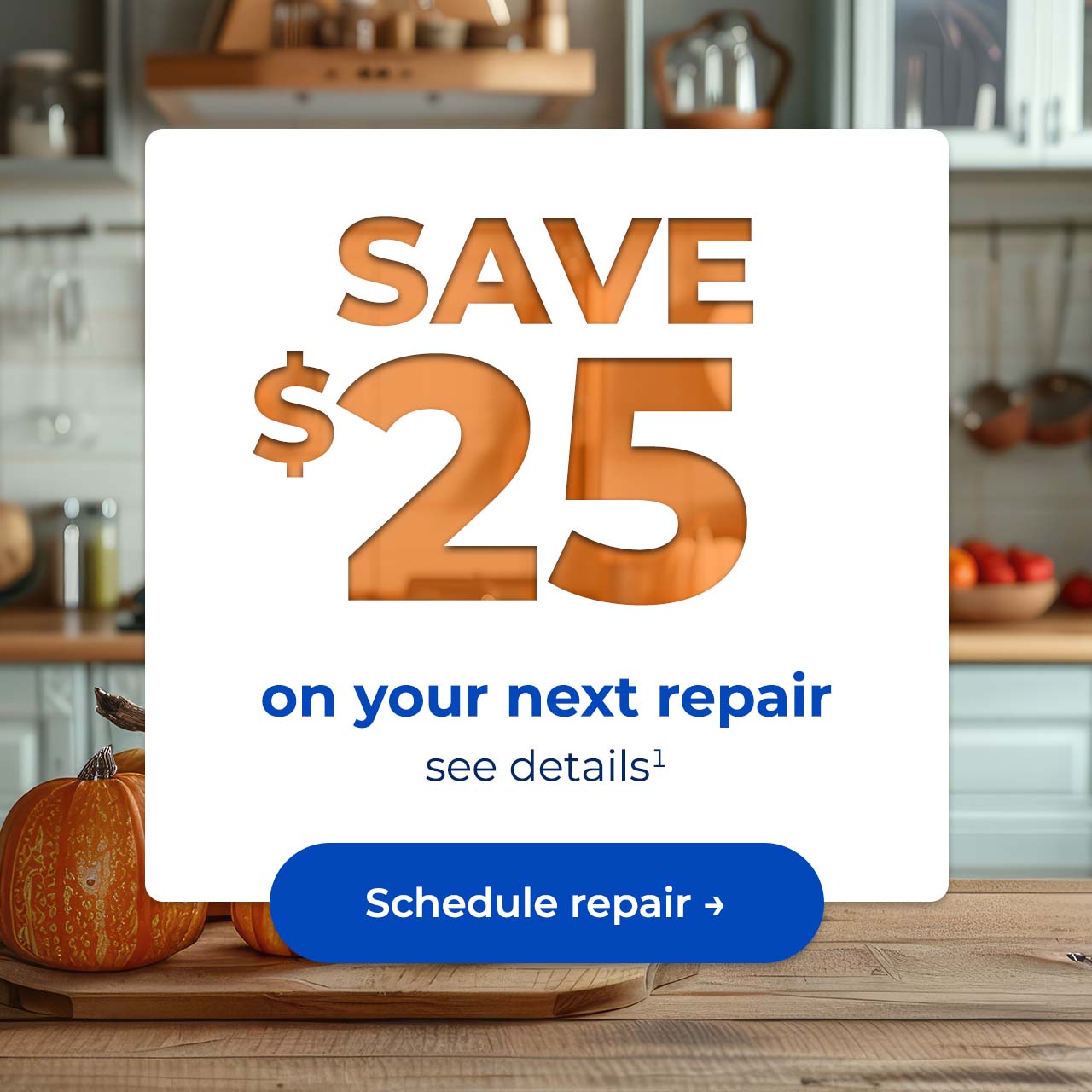 Save $25 on your next repair, see details. Button: Schedule repair
