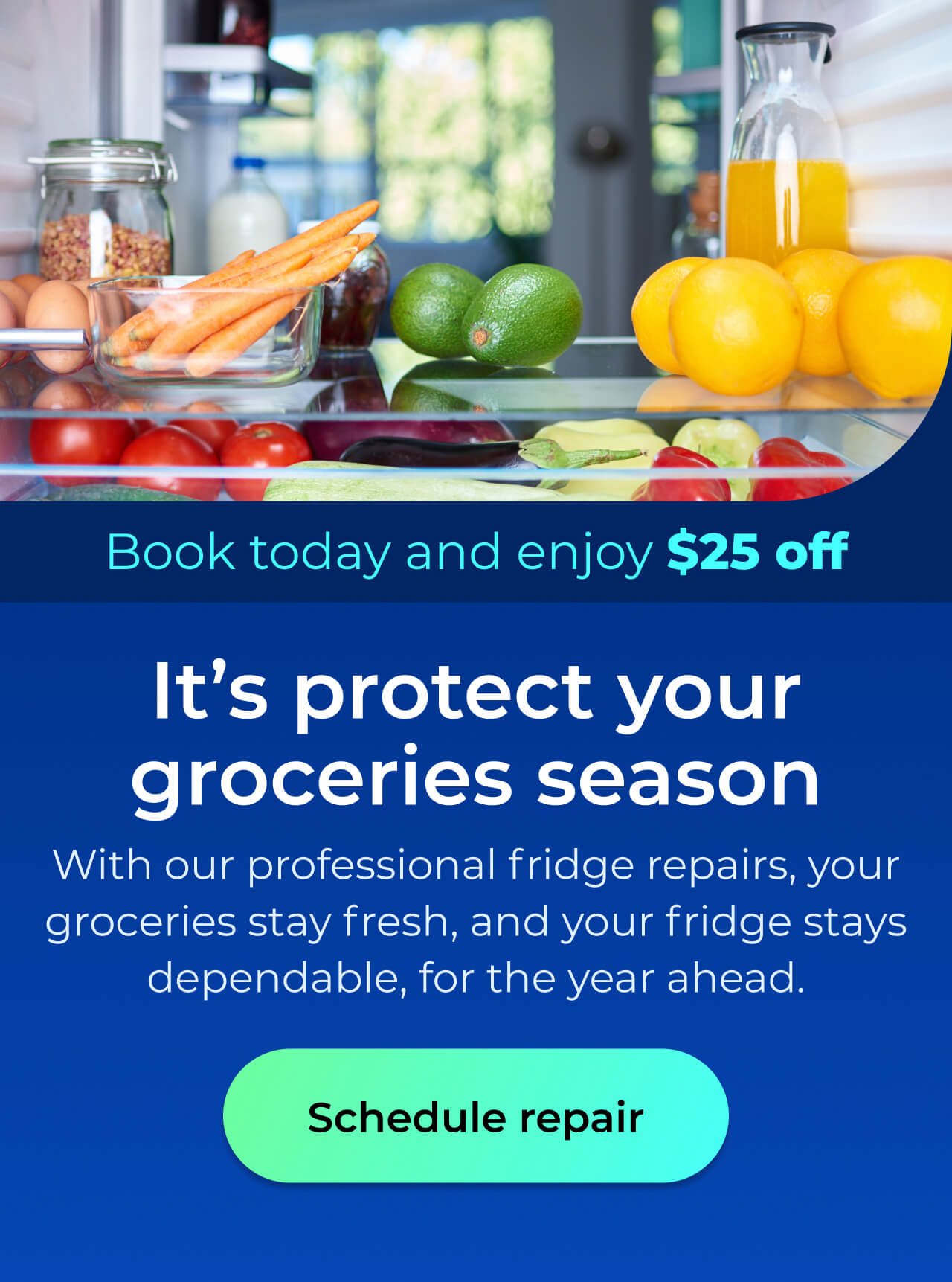 It’s protect your groceries season. With our professional fridge repairs, your groceries stay fresh, and your fridge stays dependable for the year ahead. Book today and enjoy $25 off. Button: schedule repair