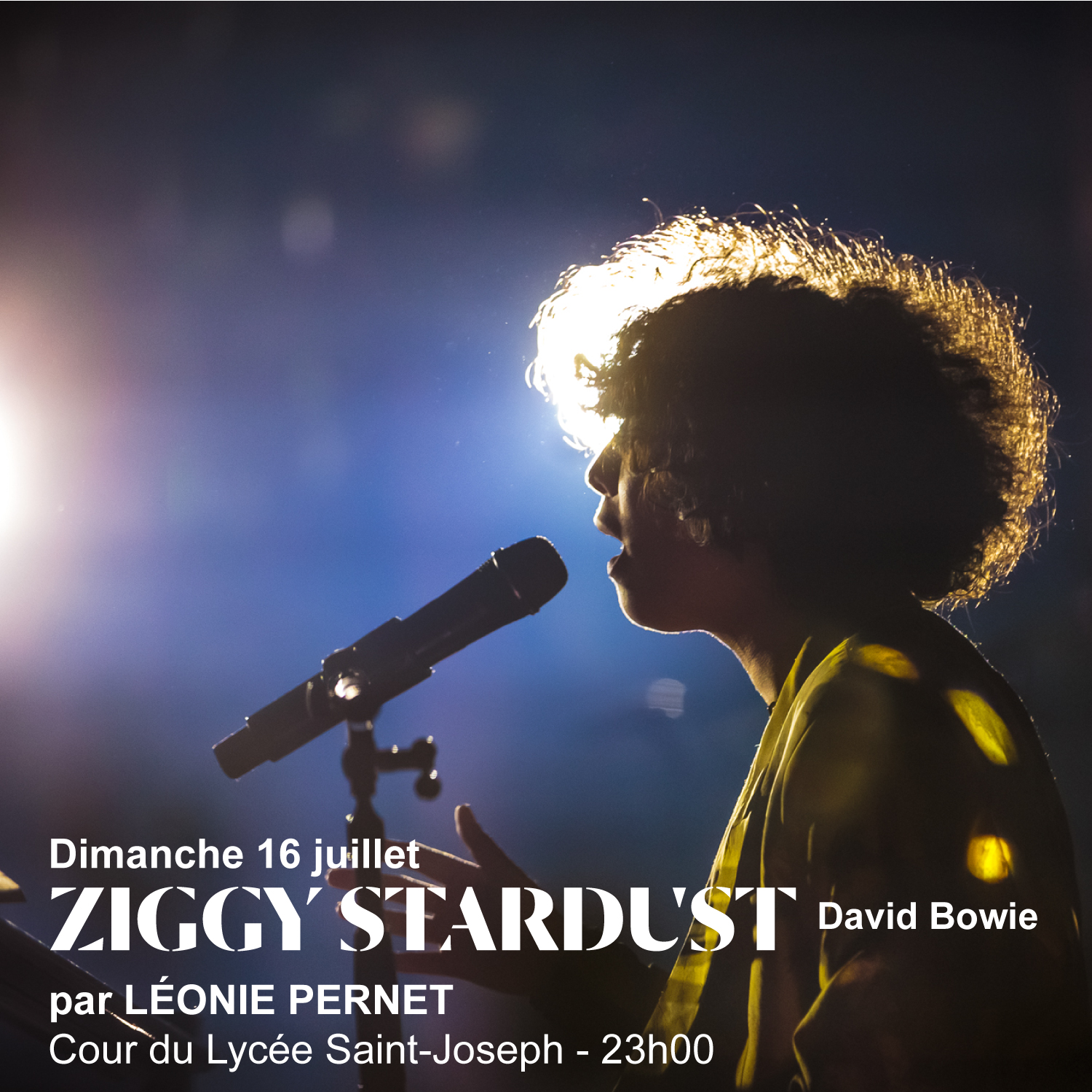 ''Ziggy Stardust'' par Léonie Pernet