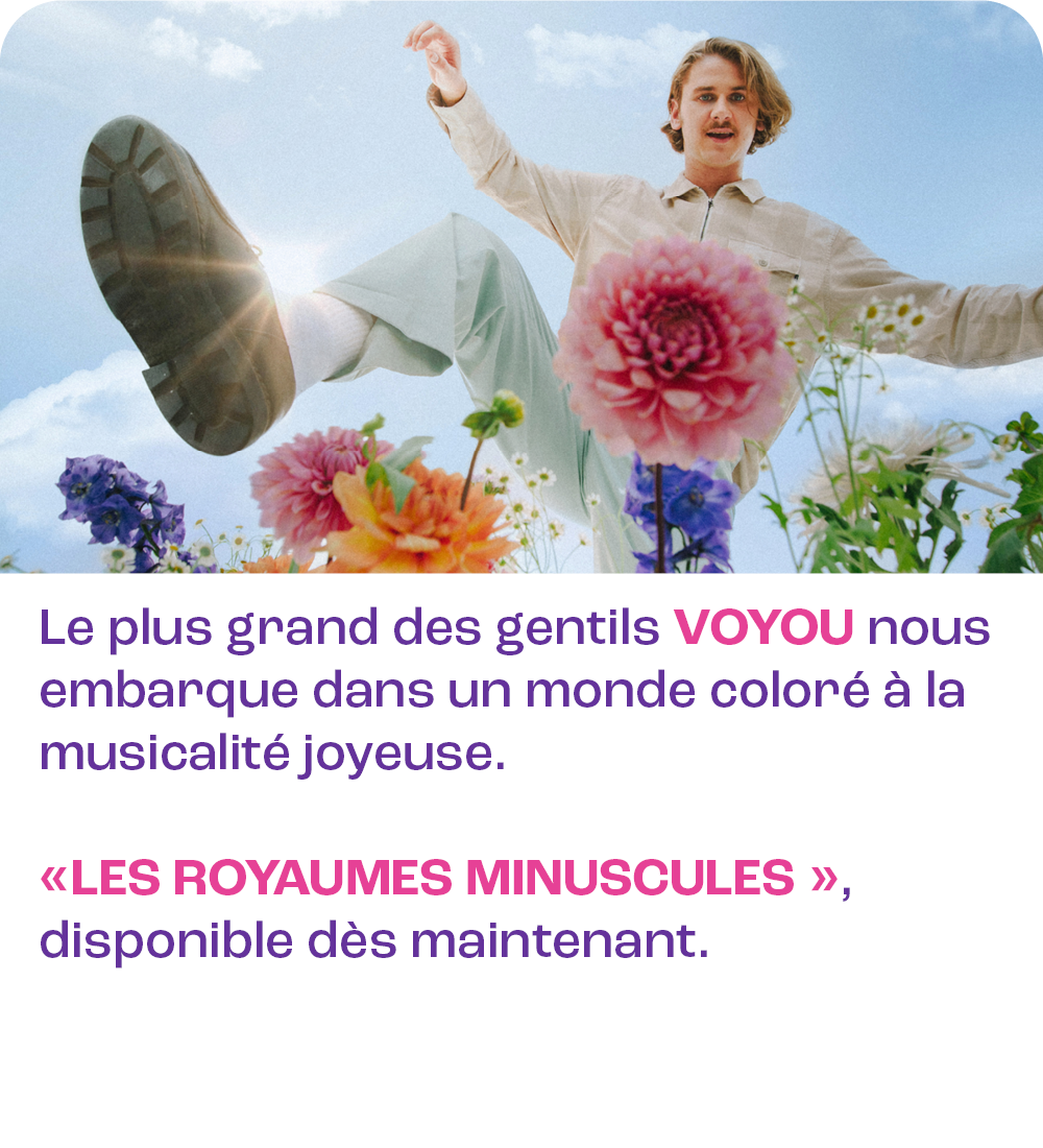 Voyou sort un nouvel album